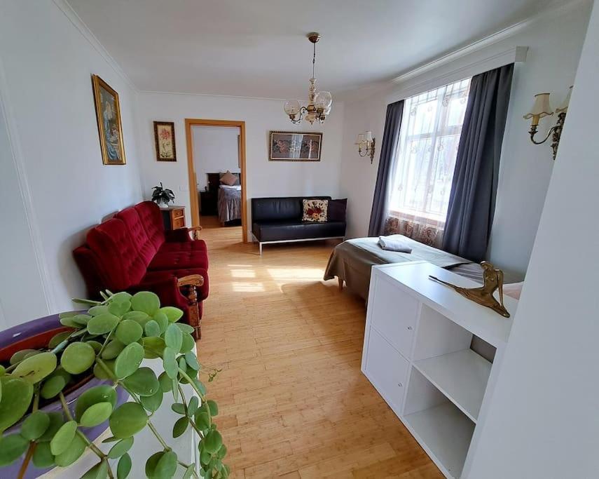 Spacious Apartment -Top Location 阿克雷里 外观 照片